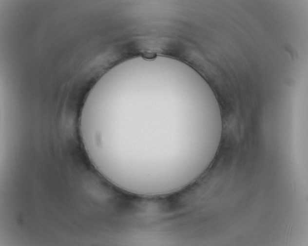X0000114230209200910231510