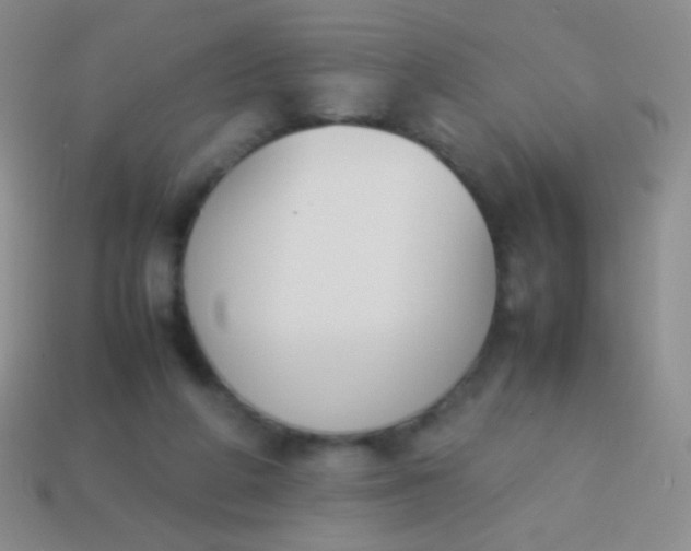 X0000114230210200910231510