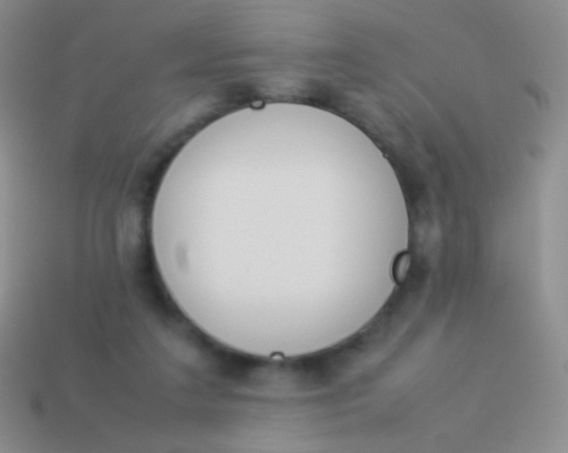 X0000114230211200910231510