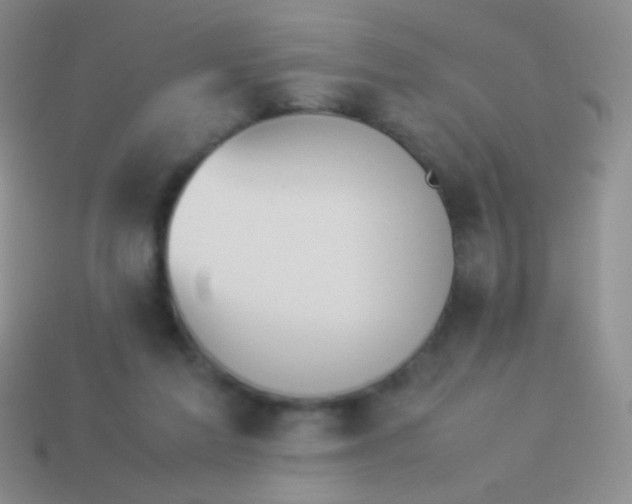 X0000114230213200910231510