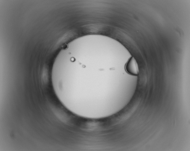 X0000114230216200910231510