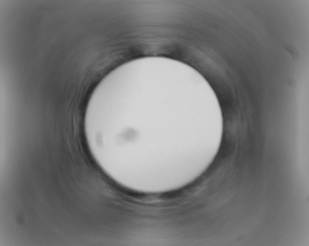 X0000114230219200910231510