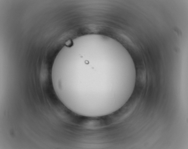 X0000114230220200910231510