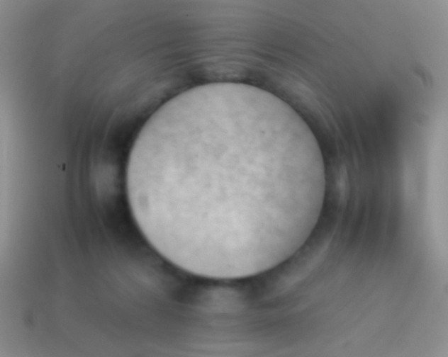 X0000114230224200910231510