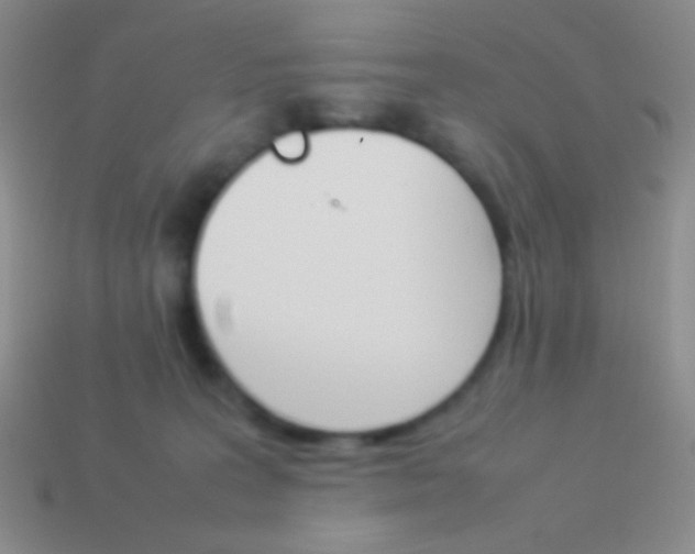 X0000114230227200910231510