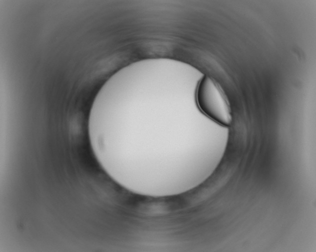 X0000114230228200910231510
