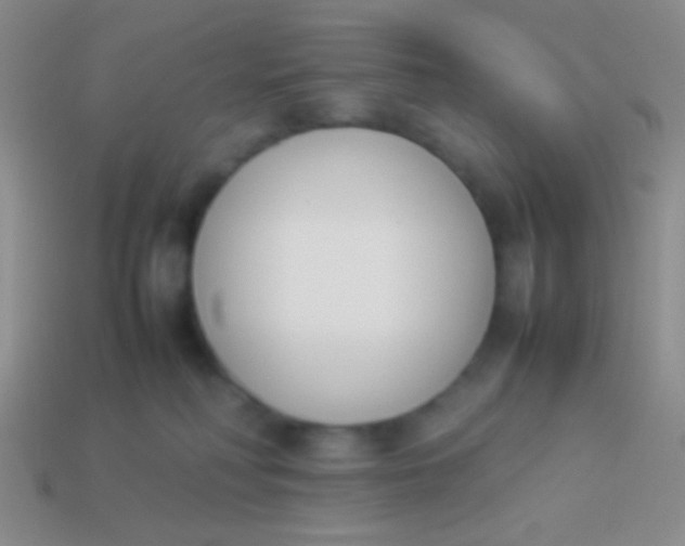 X0000114230230200910231510