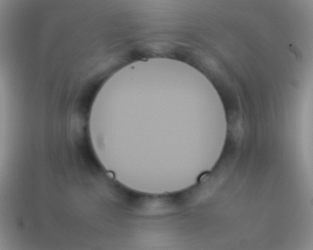 X0000114230235200910231510
