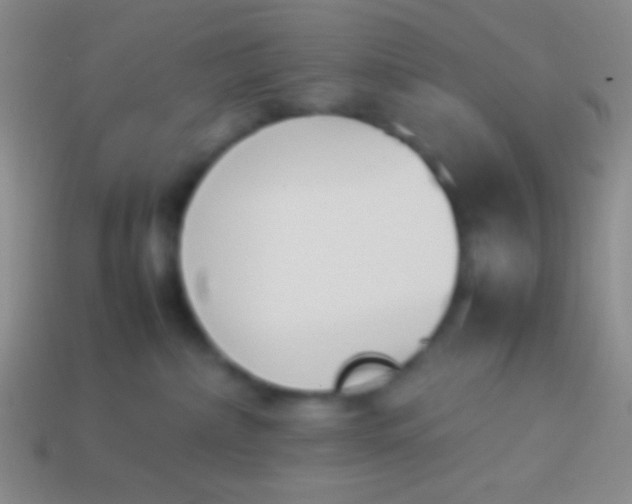 X0000114230236200910231510