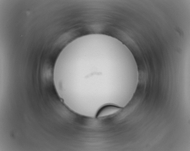 X0000114230238200910231510