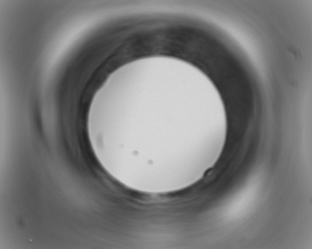 X0000114230239200910231510