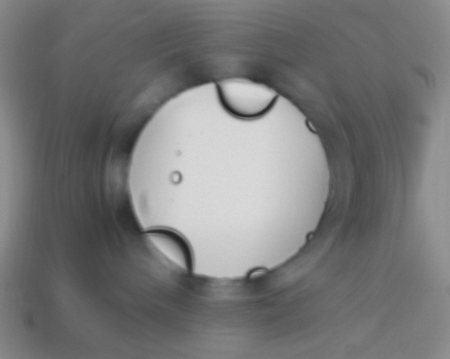 X0000114230240200910231510