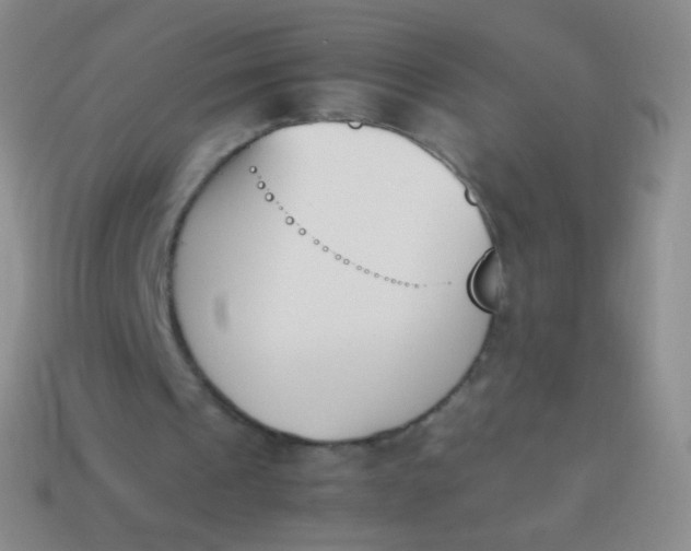 X0000114230241200910231509