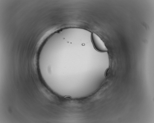 X0000114230244200910231509