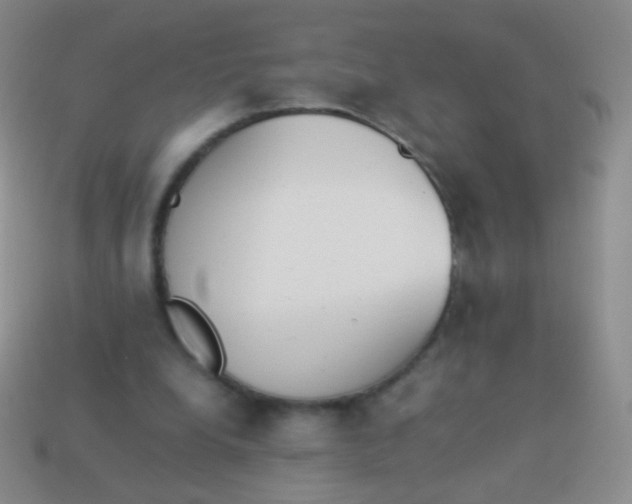 X0000114230248200910231509