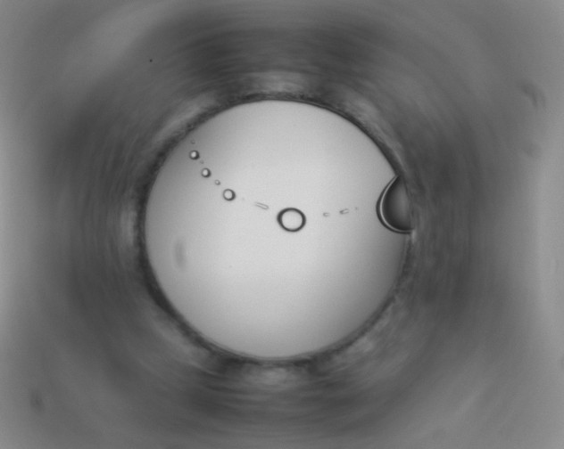 X0000114230249200910231509
