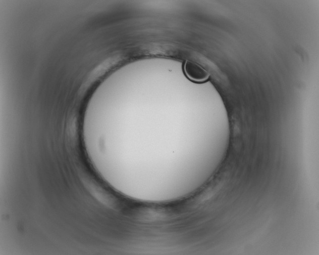 X0000114230250200910231509