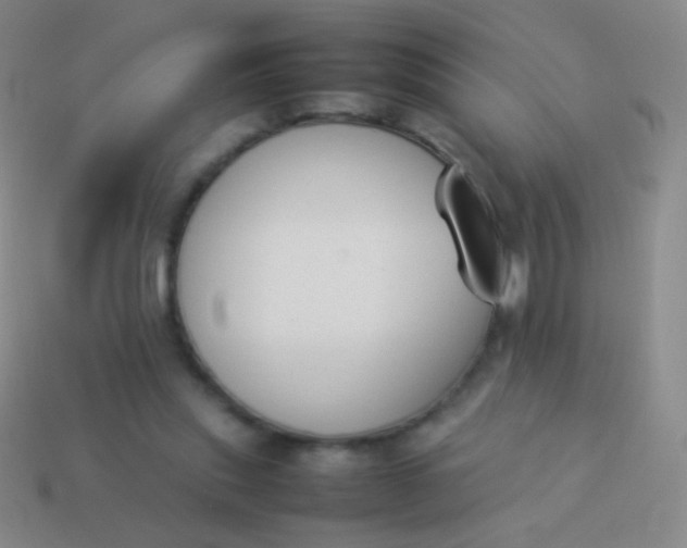 X0000114230253200910231509