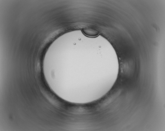 X0000114230254200910231509