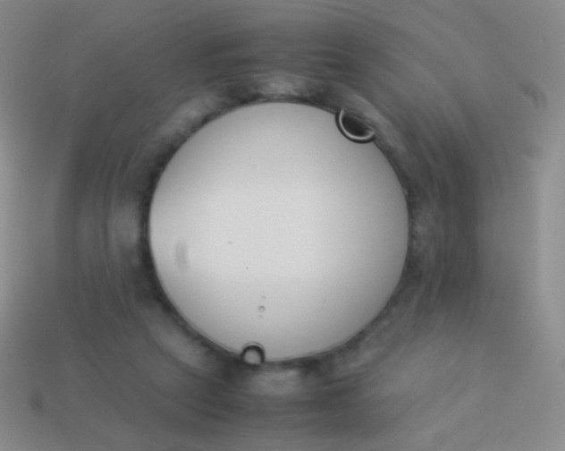 X0000114230257200910231509