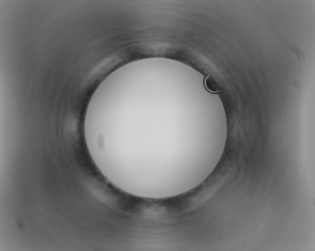 X0000114230258200910231509