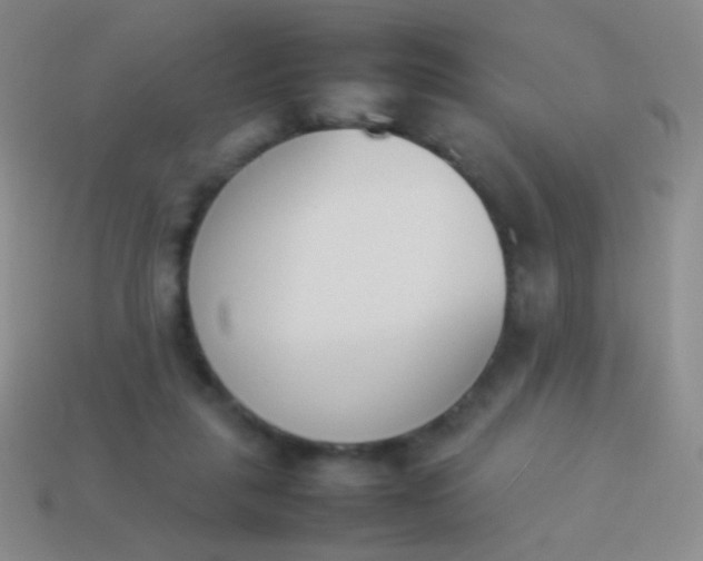 X0000114230259200910231509