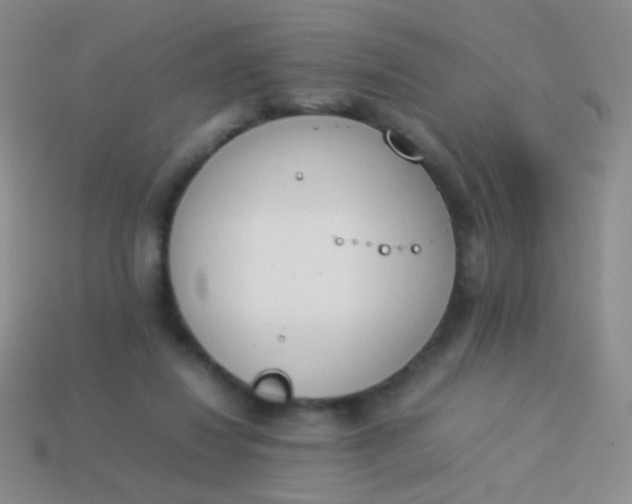 X0000114230260200910231509