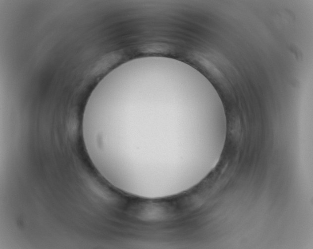 X0000114230261200910231509