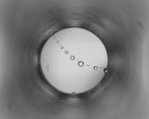 X0000114230262200910231509