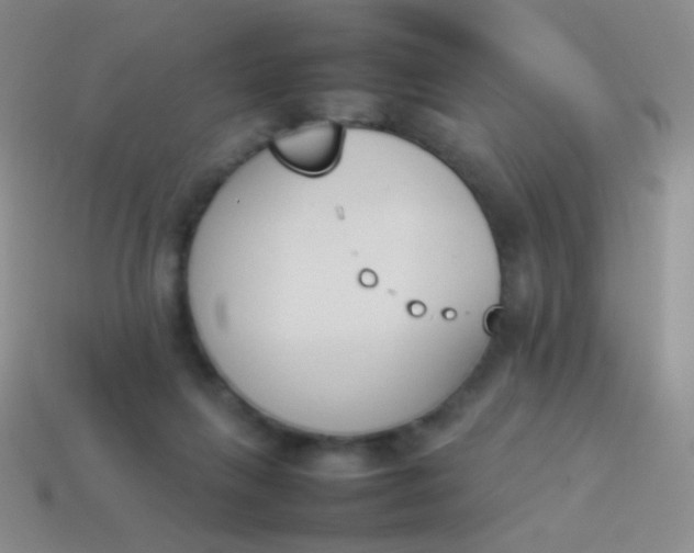 X0000114230263200910231509