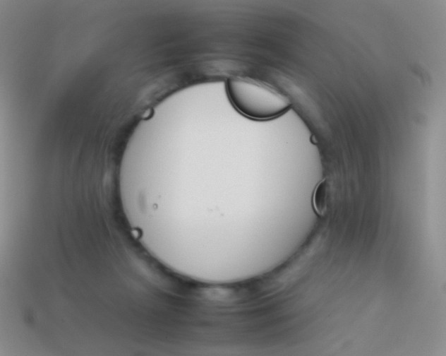 X0000114230265200910231509