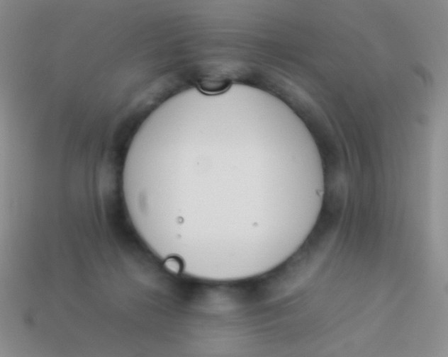 X0000114230268200910231509