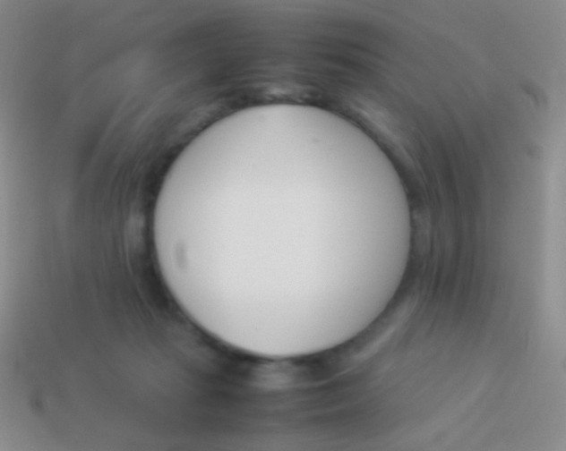 X0000114230269200910231509