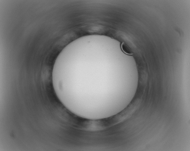 X0000114230273200910231510