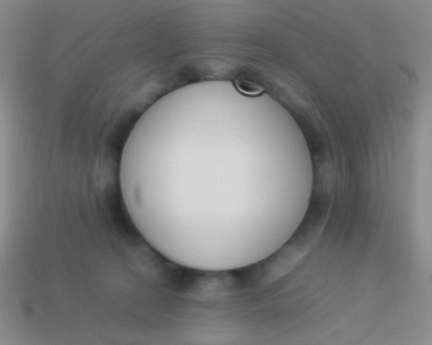 X0000114230274200910231510