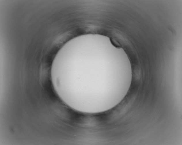X0000114230276200910231510