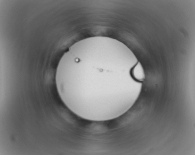 X0000114230280200910231510