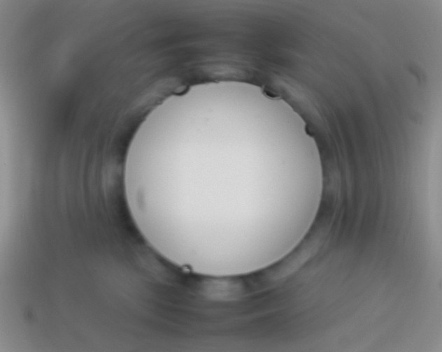 X0000114230281200910231510