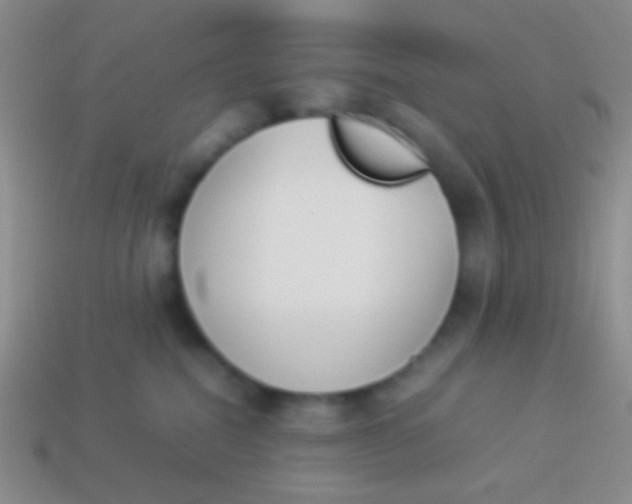 X0000114230282200910231510