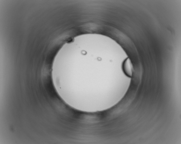 X0000114230284200910231510