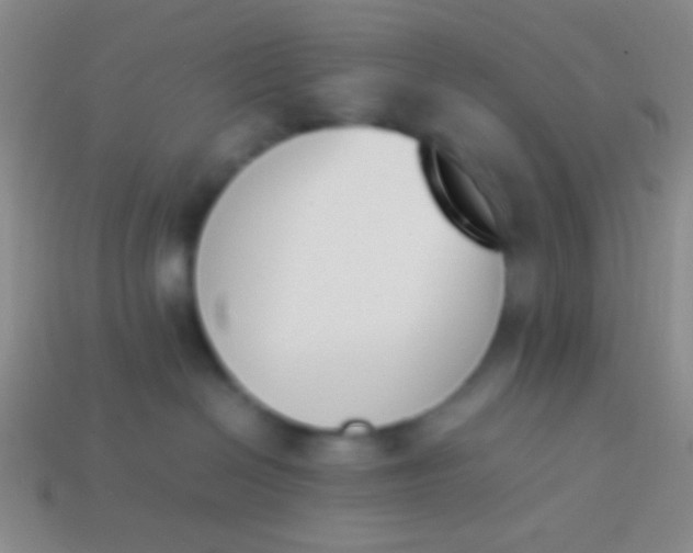 X0000114230286200910231510