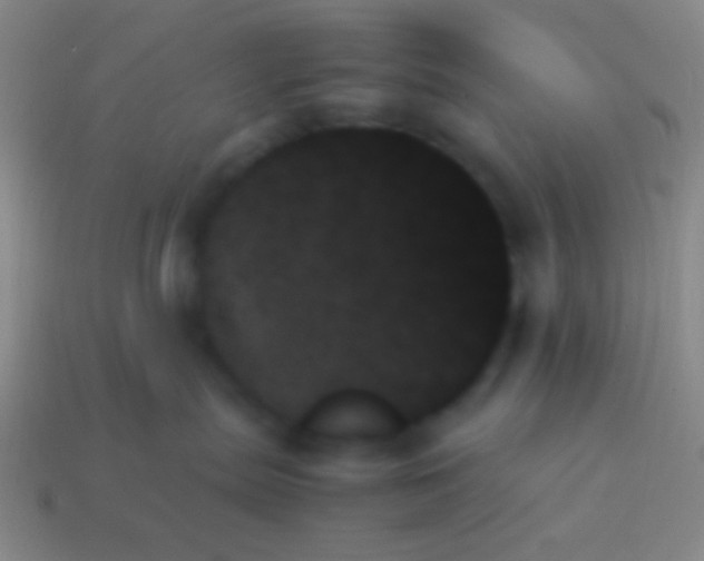 X0000114230287200910231510