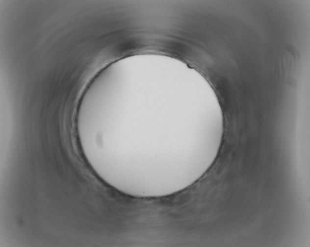 X0000114230289200910231509