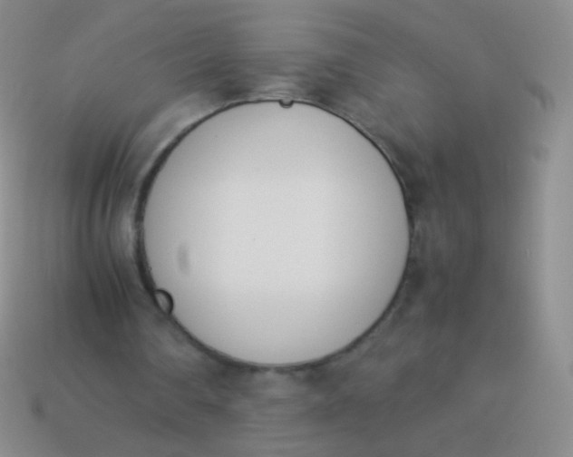 X0000114230290200910231509
