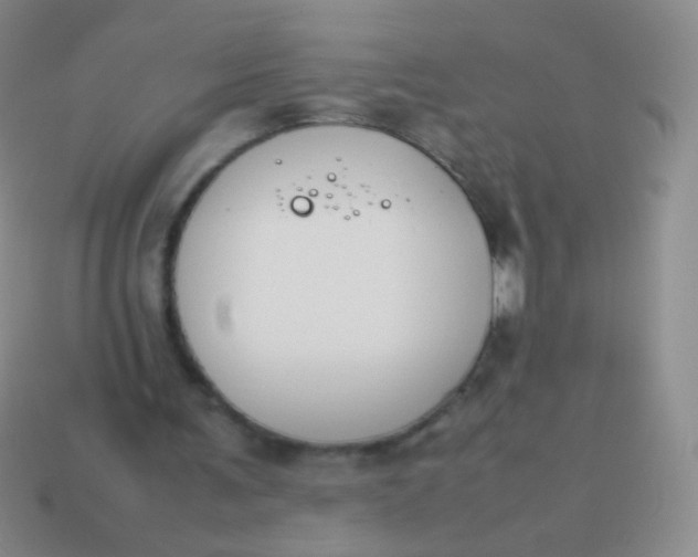 X0000114230291200910231509