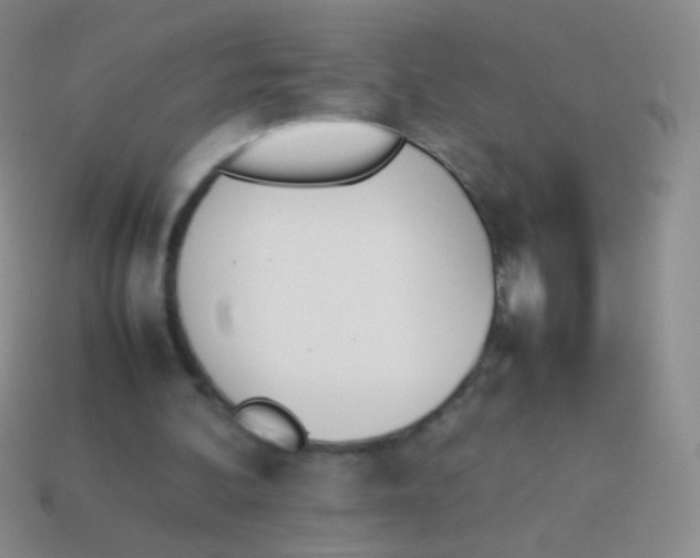X0000114230292200910231509