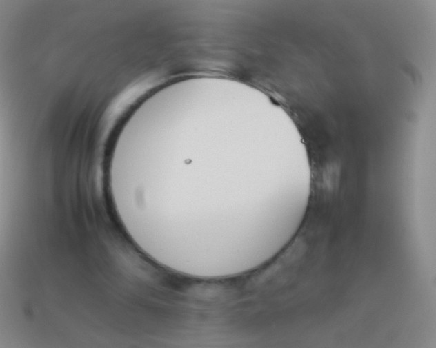 X0000114230294200910231509