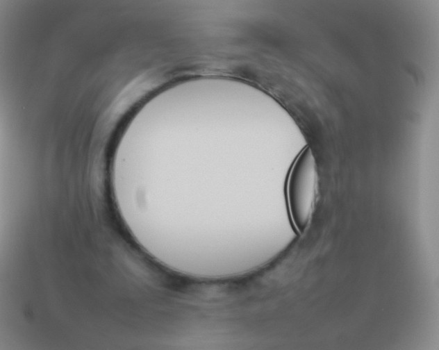 X0000114230295200910231509