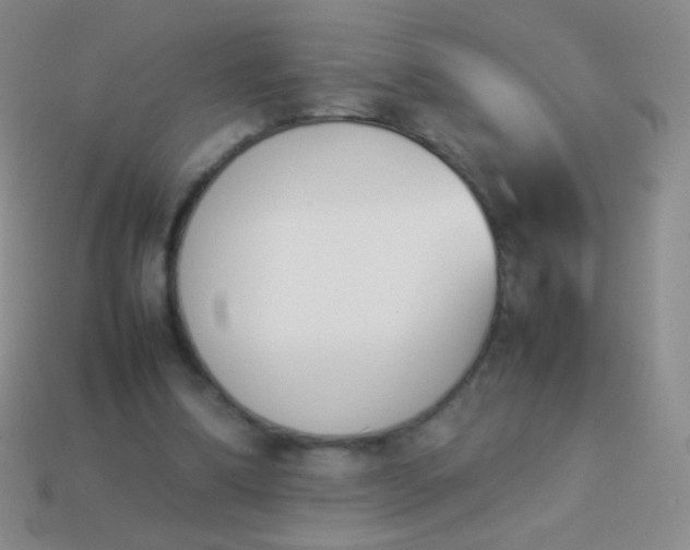 X0000114230298200910231509