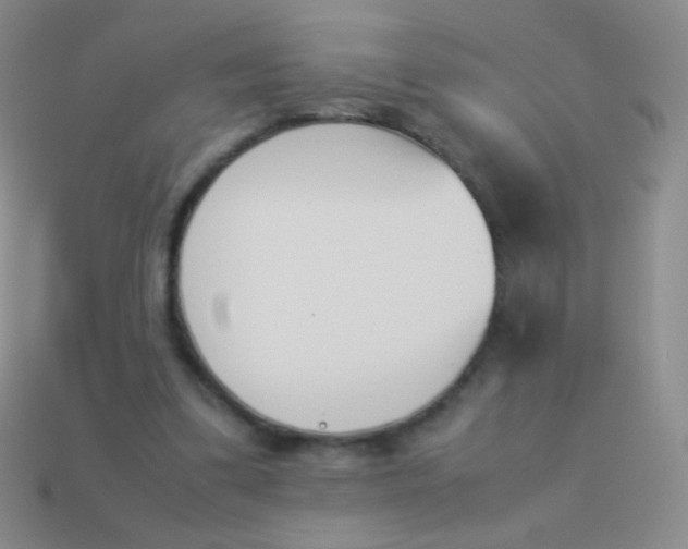 X0000114230299200910231509